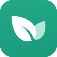 青藤之恋 App 图标